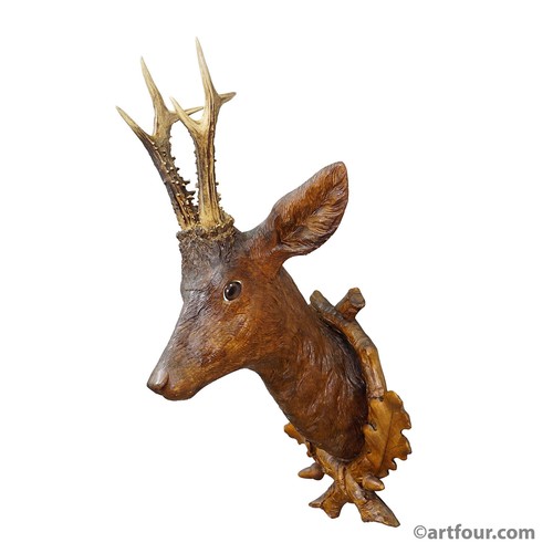 Grande trofeo naturalistico - , di