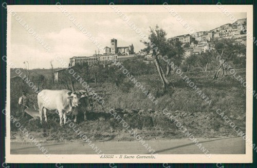 Perugia assisi carro - assisi,