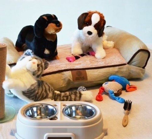 Pet shop kit con - pet,