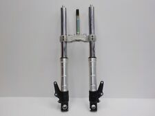 forcella stelo steli piastra TRIUMPH SPEED TRIPLE 955 1999 2000