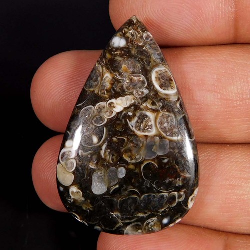 Cabochon pera fossile di - di,