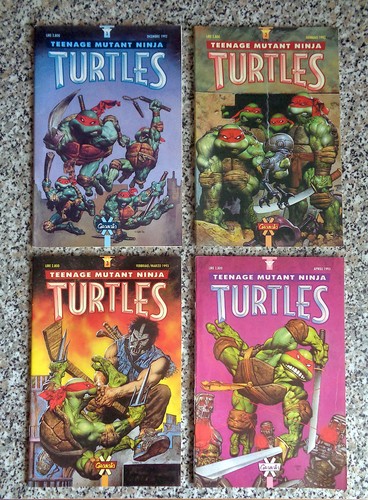 Teenage mutant ninja turtles - teenage,
