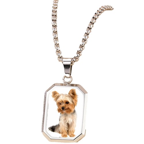 Yorkshire terrier dog - yorkshire, silver