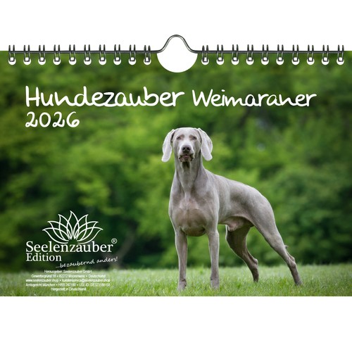 Magia per cani weimaraner - weimaraner, din