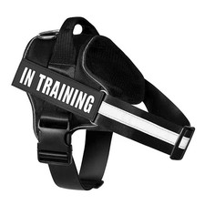 ✅Pettorina per Cane Antifuga