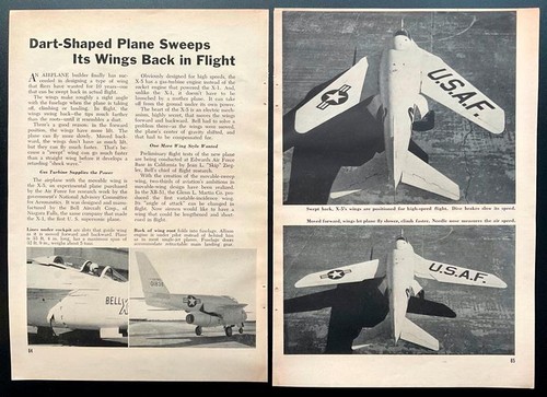 Campana 1951 pittorica - x-5,
