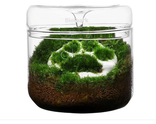 Bioloark luji glass cup 150 - luji, my-150