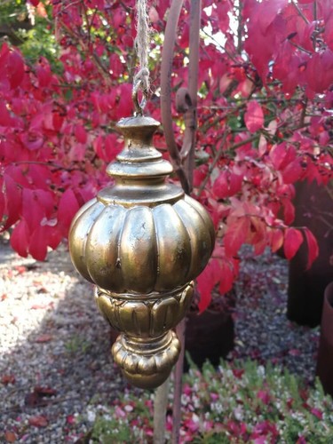 Coni poliresina aurum - in,