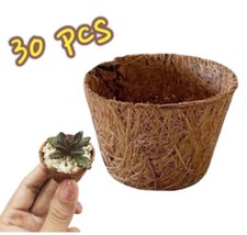 30pz Mini Fibra di Cocco Coir