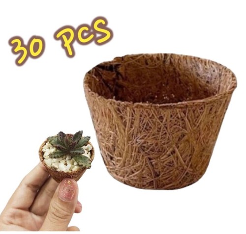 30pz mini fibra cocco - 30pz,