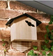 Bat Box Crea un Rifugio Sicuro per Pipistrelli nel Tuo Giardino,