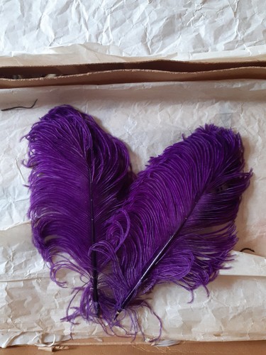 Piume struzzo viola vere - piume,