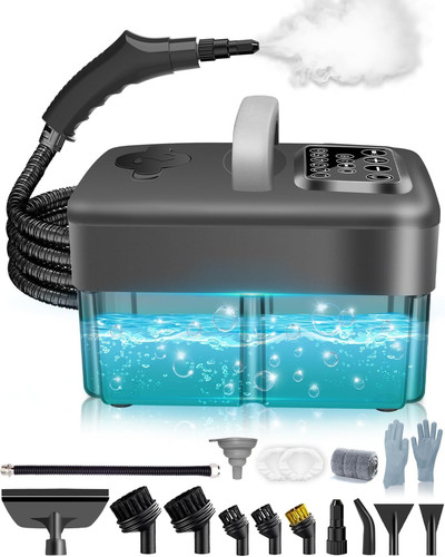 Steam cleaner for - for,