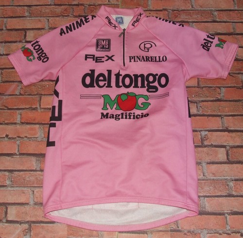 Rosa del tongo santini - mg,