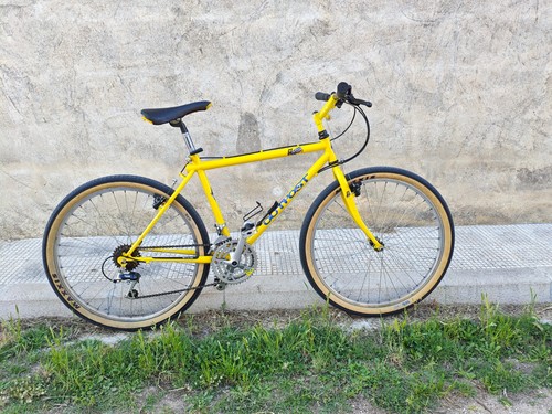 Mtb vintage anni gt - ,