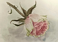 FIORI ROSA ROSA originale