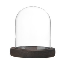Bell Shaped Glass Bell
