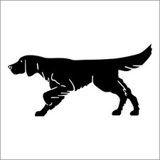 adesivo prespaziato setter