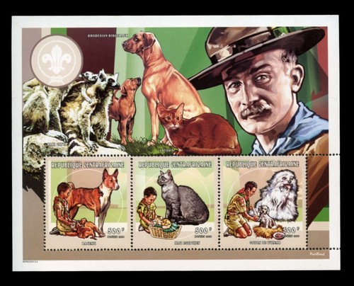 Basenji rhodesian ridgeback - basenji,