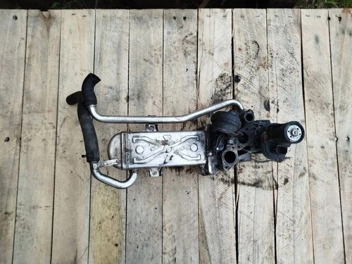 Radiatore golf viii cd1 - golf,