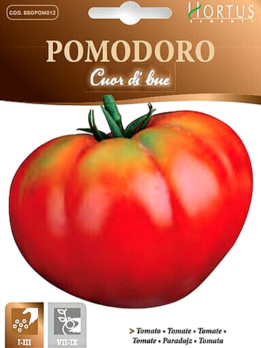 Semi pomodoro cuor bue - di,