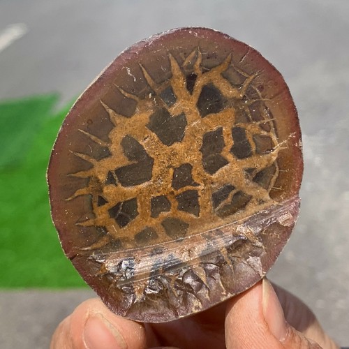72g settario marocchino - 72g,