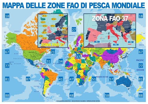 Poster pescheria mappa - poster, pescheria"mappa