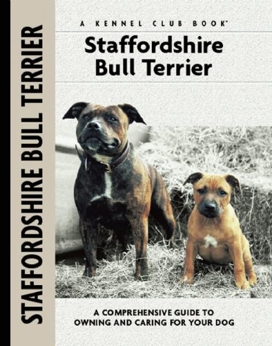 Staffordshire bull terrier - staffordshire,