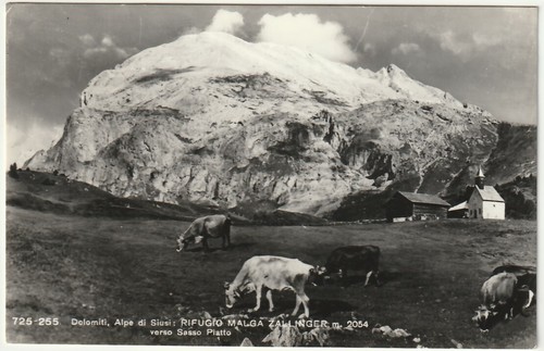 Alpe siusi bolzano - alpe,