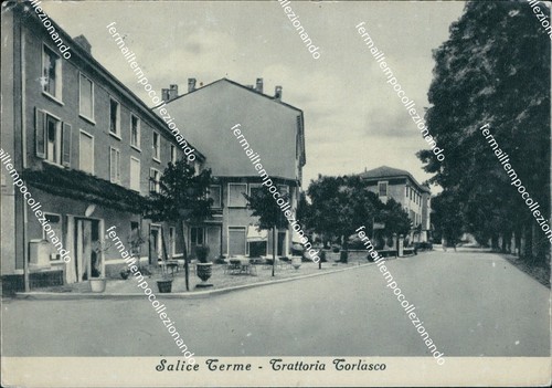 Bm135 cartolina salice - bm135,