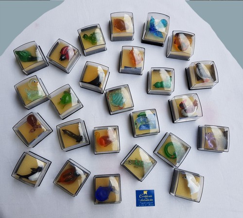 Collezione animali - di, 25