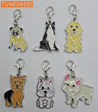 Animals Dog Border Collie pug