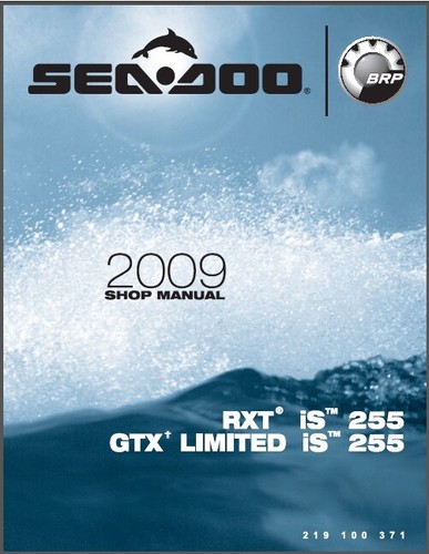 2009 sea doo rxt 255 - 2009, gtx