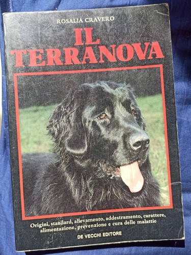 Cravero terranova cane cani - terranova,