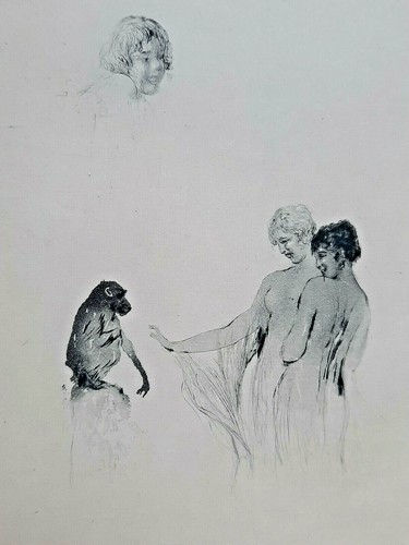 Donne scimmia henri ricco - henri, il