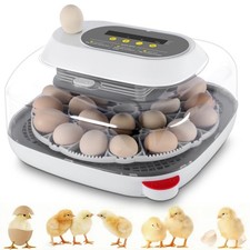 Incubatrice per uova