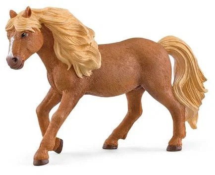 Stallone pony islandese