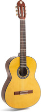 Chitarra Da Concerto, Chitarra