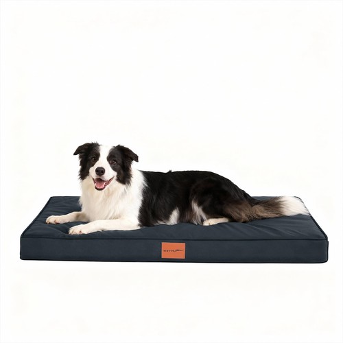 Cuccia cane grande ortopedica - cuccia,