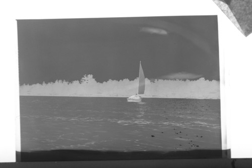 Press photo negative - (2),