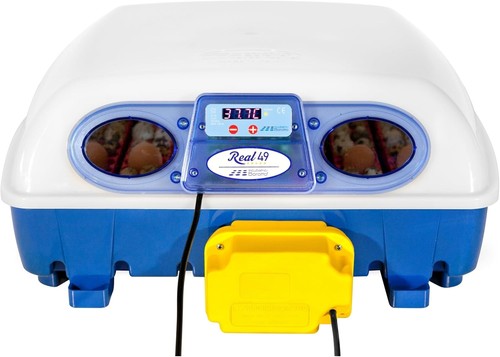 Incubadora automática borotto - automÁtica,