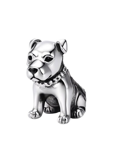 Charm cucciolo pitbull per - pitbull,