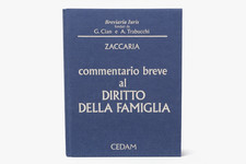 Commentario breve al diritto
