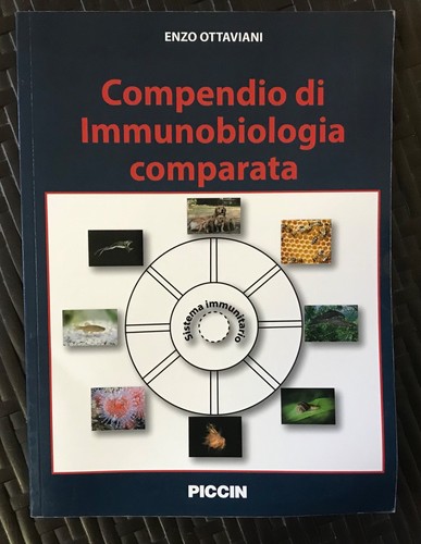 Libro medicina compendio - libro, di