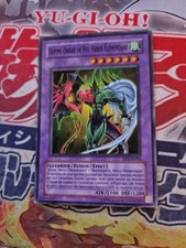 Homme Oiseau de Feu Héros