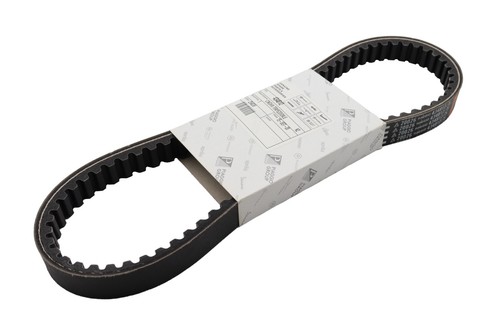 Cinghia trapezoidale piaggio - trapezoidale,