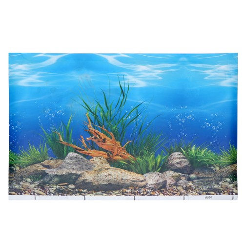 Sfondo acquario adesivo - sfondo, per