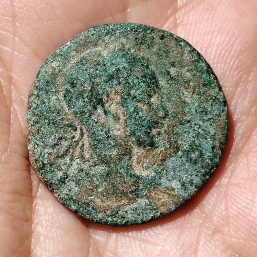 æ29 gordian iii μητρ - gordian,