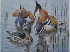 Bellissima Stampa Di Uccelli