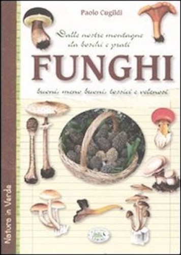 Funghi dalle nostre montagne